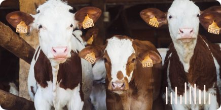 Best Farm Loans